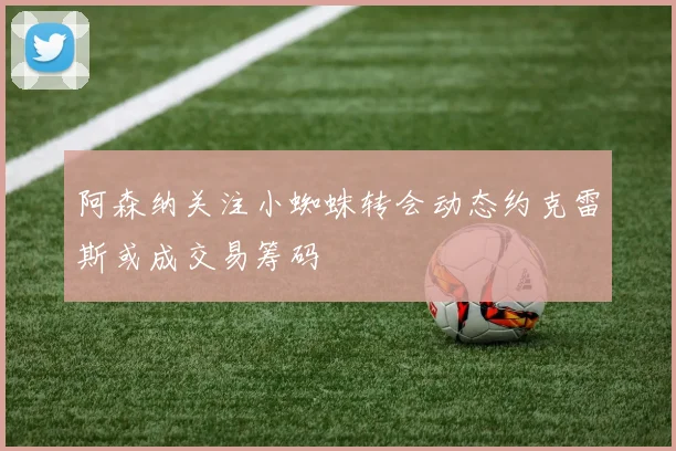 阿森纳关注小蜘蛛转会动态约克雷斯或成交易筹码