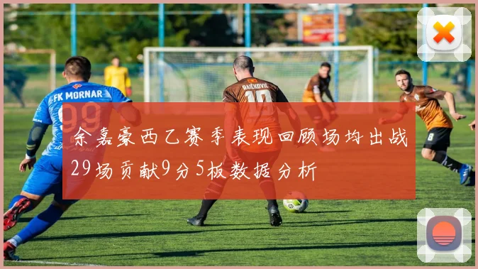 余嘉豪西乙赛季表现回顾场均出战29场贡献9分5板数据分析