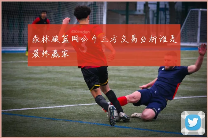 森林狼篮网公牛三方交易分析谁是最终赢家